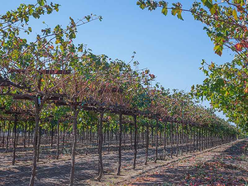 Exploring the neighborhoods of California's San Joaquin County: Where you should live
